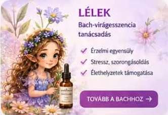 Kep 2026 09 12 151742450